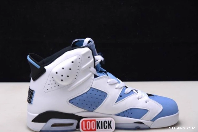 Cheap Air CT8529-410 UNC Jordan 6 0717